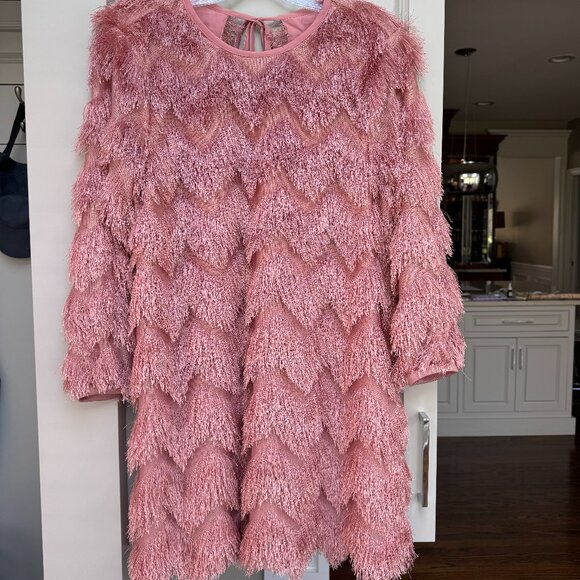 NWT Anthropologie Hutch Fringed Chevron Shift Dress - Picture 9 of 9